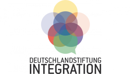 DSI-Logo